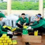 Lệ phí đăng ký thành lập liên hiệp hợp tác xã là bao nhiêu tiền?